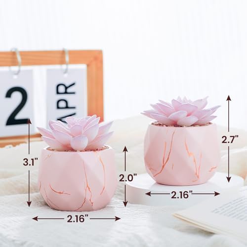 ZENIDA Artificial Succulent Plants in 2 Pink Ceramic Pots, Cute Fake Plants for Vanity Decor,Office, Desk, Bathroom, Kitchen,Bedroom, Shelves Decor for Women,Girls Gift - Image 5
