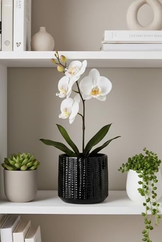 Ceramic Planter Pot with Drainage Hole, 5 Inch Dia, Indoor and Outdoor, Home Patio Garden, Plants&Flowers, Textured Round (Black) - Image 2