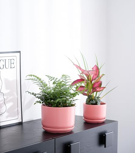 Ceramic Plant Pots,Planters with Drainage Hole&Saucer 3 Pack(Matte Orange) - Image 7