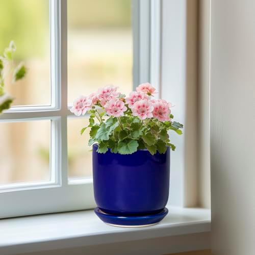 Succulent Pot 5 Inch - Modern Ceramic Planter for Indoor Plants with Drainage Hole and Saucer, Office Home Room Patio Decor, Blue - Image 2