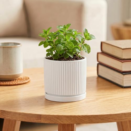 Ceramic Pots for Plants, 4 Inch Plant Pots with Saucer, White - Image 4