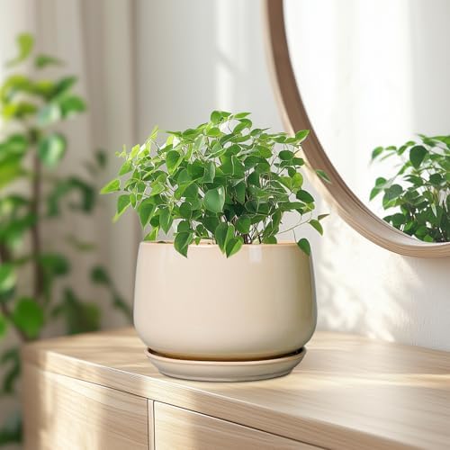 G EPGardening Ceramic Planter, 7 Inch Plant Pots, Beige - Image 6