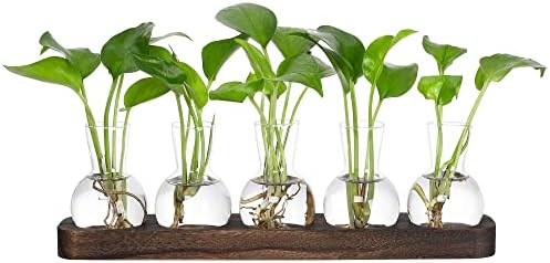 YIBOT Propagation Vases for Plants Terrarium with Wooden Tray,5 Glass Vases by YIBOT
