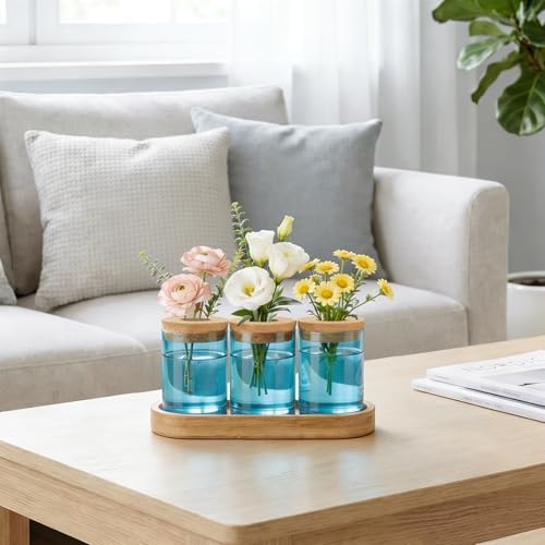 Dahey Plant Propagation Stations, Glass Vases with Wooden Stand & Lid, Blue - Image 2