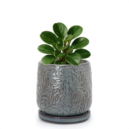 D'vine Dev Embossed Leaves Ceramic Planter, 4 in, Graphite Blue, 27-A-Z-9 by DvineDevPlanterPotsandStand