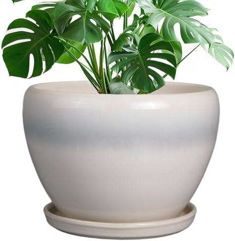 Ceramicfor 10 Inch Ceramic Planter Pot, Cream White by Ceramicfor
