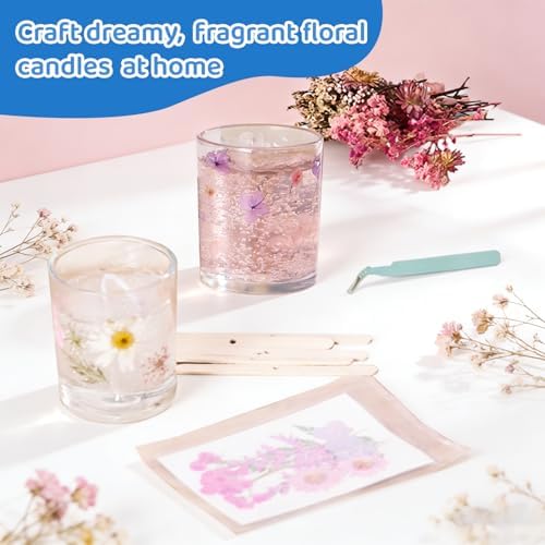 DIY Jelly Wax Candle Making Clear Kit for Adults with Jars - Image 5