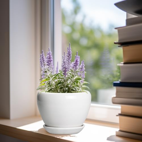 Ceramicfor Ceramic Pot for Plants - 6 Inch Plant Pot for Succulent Plants, Glaze Modern Round Planter with Drainage Hole and Saucer, Gifts for Plant Lovers, Home Office Patio Room Decor, White - Image 2