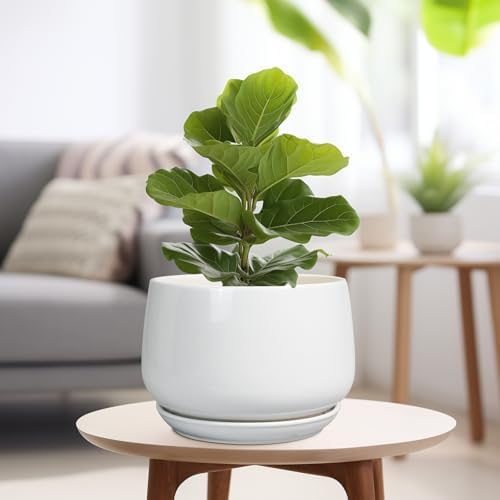 G EPGardening Ceramic Planter 9 Inch - Plant Pots with Drainage and Ceramic Saucer, Flower Pots for Indoor Plants, Modern Outdoor Planter, Living Room Decor, Gifts for Plant Lovers, White - Image 4