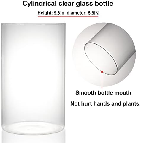 Desktop Glass Plant Terrarium with Grow Light for Carnivorous Plants & Moss - Image 5