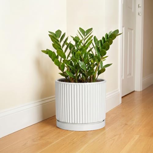 10 Inch Plant Pot, Ceramic Planters, Round Flower Pots, White - Image 6