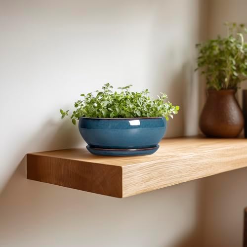 SQOWL Succulent Pots - 6 Inch Ceramic Bonsai Pots, Shallow Planter with Drainage Hole and Saucer, Modern Round Planter for Indoor Plants Outdoor, Flower Cactus Pot, Home Decor, Plant Lover Gift, Blue - Image 4