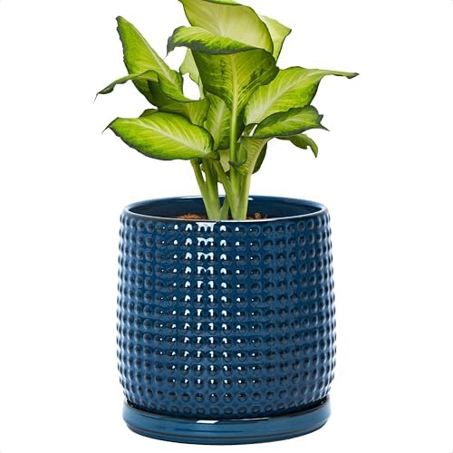 D'vine Dev Beaded Ceramic Pot with Saucer, 6 in, Midnight Blue, 27-C-X-3 by DvineDevPlanterPotsandStand