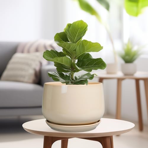 G EPGardening Ceramic Plant Pots - 9 Inch Round Planter, Ceramic Flower Pots with Drainage and Saucer, Modern Indoor Outdoor Planter, Room Decor, Home Gifts, Beige - Image 4
