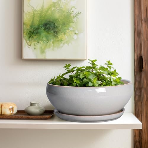 SQOWL 12 Inch Bonsai Pots, Large Ceramic Succulent Pots with Saucer, Gray - Image 5