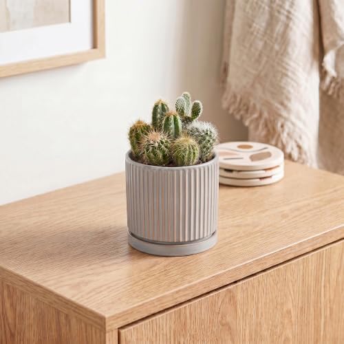 Ceramic Planter, 4 Inch Plant Pots, Round Pots for Plants, Grey - Image 5