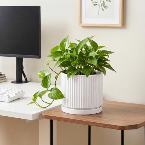 8 Inch Pots for Plants, Ceramic Plant Pots with Saucer, White - Image 5