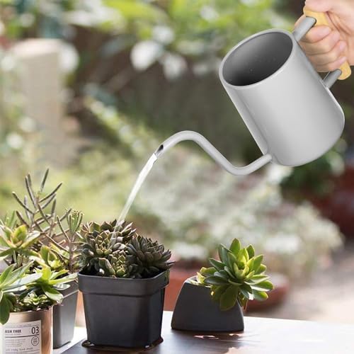 Watering Can Indoor Plants, 35 oz/1000 ml Metal Stainless Steel Watering Can Pot with Long Spout for Indoor House Plants Bonsai Outdoor Garden Flower Decorative (Gray) - Image 3