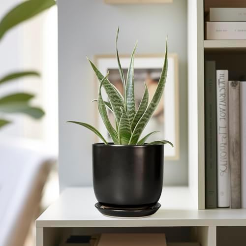 Ceramic Pot for Plants 5 Inch - Modern Round Indoor Planter for Cactus Succulent Plants with Drainage Hole and Saucer, Home Room House Office Decor, Black - Image 4