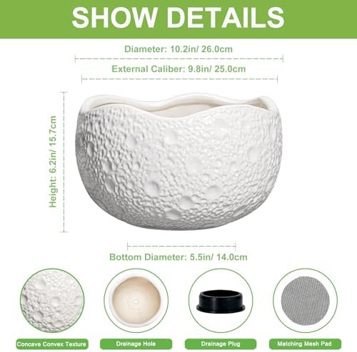10 Inch Plant Pot - Ceramic Planter for Indoor Outdoor, Round Bonsai Pots, Decorative Flower Pots with Drainage Hole, Modern Unique Planters, House Decor, Home Gifts, White - Image 2