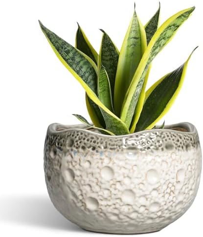 Ceramic Flower Pots - 8 Inch Plant Pots for Indoor Outdoor, Unique Round Planter with Drainage Hole and Plug, Decorative Ceramic Planter, Room Decor, House Warming Gifts, Beige-Grey by Thirtypot