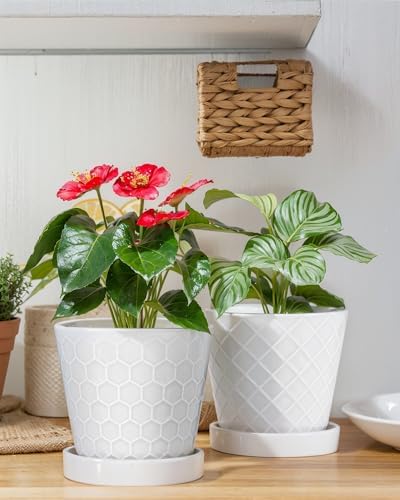 EFISPSS Flower Planter –5 inch Ceramic Plant Pots with Drainage Holes and Ceramic Tray - Gardening Home Desktop Office Windowsill Decoration Gift Set of 4 - Plants NOT Included (White) - Image 4