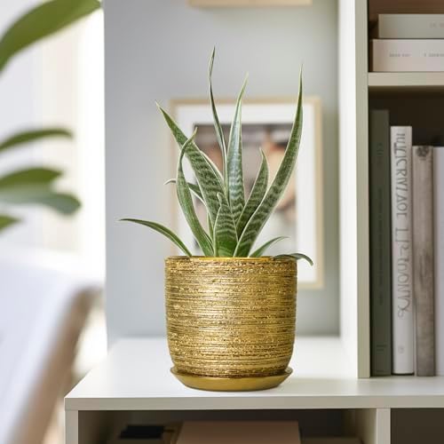 Succulent Pot 5 Inch, Ceramic Plant Pot for Indoor Flowers, Gold - Image 5