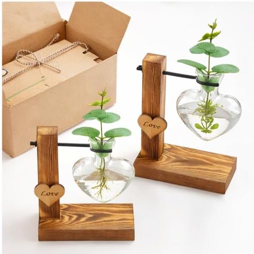 TerraSol Heart-Shaped Glass Propagation Station with Rustic Wooden Stand, Single Vase Hydroponic Planter, Love Accent Decor (One Heart) - Image 6