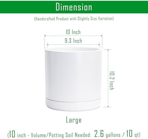 D'vine Dev 10 Inch Ceramic Planter Pot, White, 94-O-E-1 - Image 3