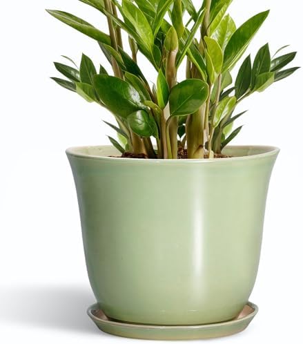 Ceramic Pots for Plants - 10 Inch Planter with Drainage Hole and Tray, Round Large Planter for Indoor Plant Outdoor, Modern Flower Pot, Garden Office Home Decor, Gift for Plant Lover, Green by SUNPOTFOR