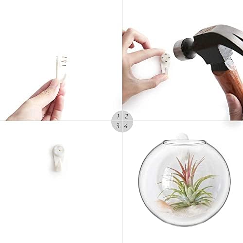 Mkono Wall Propagation Planters, 6 Pack Oblate Hanging Plant Holder Vase - Image 6