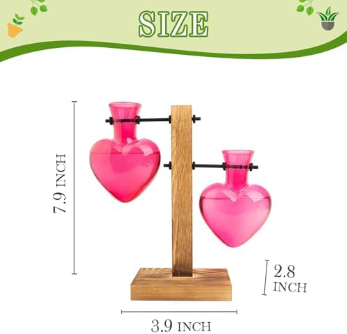 XXXFLOWER Plant Propagation Station Terrarium 2 Pink Heart Shaped Vase - Image 2