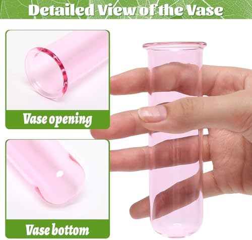 Glass Plant Propagation Station with 5 Test Tubes Colorful Planter Vase - Image 3