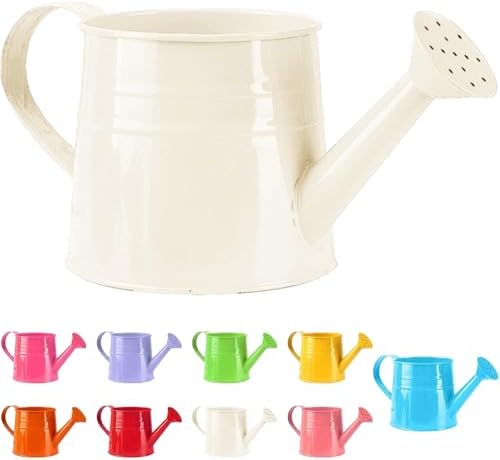 Watering Can Gardening Tool Accessories, Sprinkling Can 1L Metal Flower Garden Watering Can for Outdoor Indoor Plants Lawn Garden (White) by Unknown