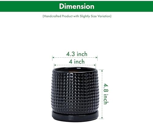 D'vine Dev Beaded Ceramic Pot with Saucer, 4 in, Glossy Black, 27-C-Z-2 - Image 3