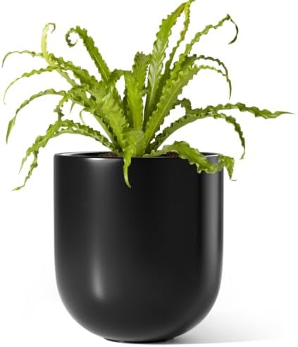 LE TAUCI 6 Inch Ceramic Plant Pot, Small Indoor Planter, Black by LETAUCI