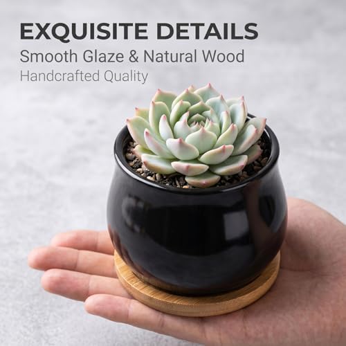 SHECIPIN 8 Pack Succulent Plant Pot, Matte Black Mini 2.6 inch Ceramic Flower Planter Pot with Bamboo Tray, Small Pots for Plants, Plants Not Included - Image 5