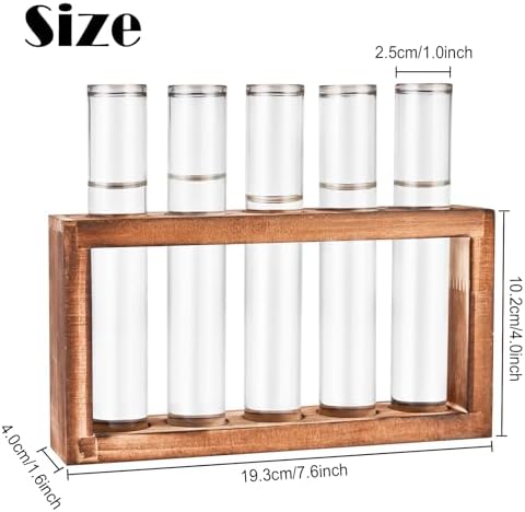Tigvio Desktop Glass Plant Propagation Station (5 Tubes) - Image 2
