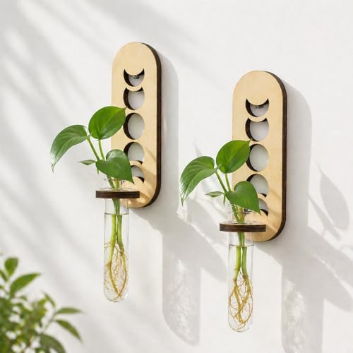 Artilady Plant Propagation Station Wall Hanging, Planter Terrariums Tube by Artilady
