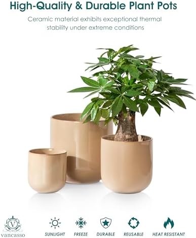 vancasso 6+8+10 inches Ceramic Plant Pots, Set of 3, Planters with Drainage Hole, Flower Pots Planters Pots for Indoor Plants, Modern Indoor Decorative Garden Pot, Home Decor, Brown - Image 4