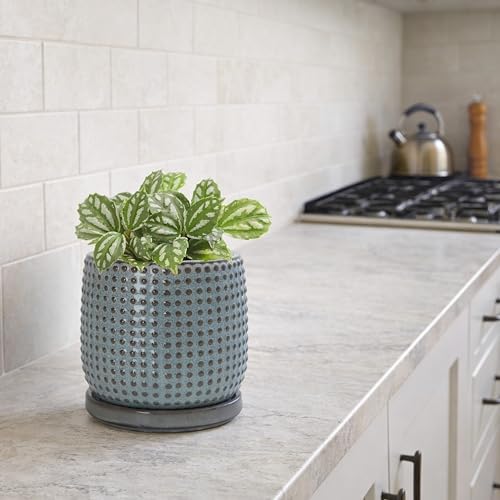 D'vine Dev Beaded Ceramic Pot with Saucer, 4 in, Graphite Blue, 27-C-Z-9 - Image 5