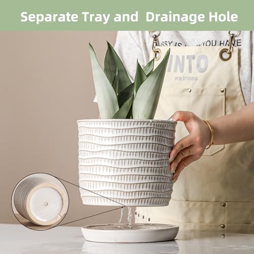 8 Inch Ceramic Plant Pot with Drainage Hole & Separate Saucer - Image 3