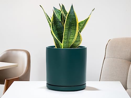 D'vine Dev 8 Inch Ceramic Planter Pot, Teal, 94-O-D-9 - Image 2