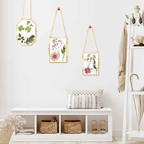 Bucherry 5 Pcs Glass Frame for DIY Pressed Flowers Art Brass Hanging Photo Picture Frame with Chain and 6 Styles Pressed Flowers Collage Glass Craft Frames for Wall Decor Display Gallery (Gold) - Image 6