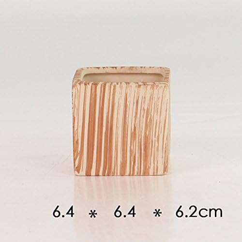2.5-3" Succulent Pots, Ceramic Wood Pattern Cactus Planters Set, 6 Pack - Image 6