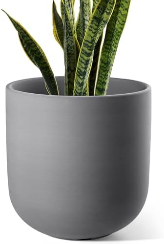 LE TAUCI 10 Inch Plant Pot, Ceramic Pots for Plants with Drainage Hole and Rubber Plug, Plant Pots Indoor for Home Garden Patio Office, Cylinder Planters for Indoor Plants, Charcoal Gray by LETAUCI