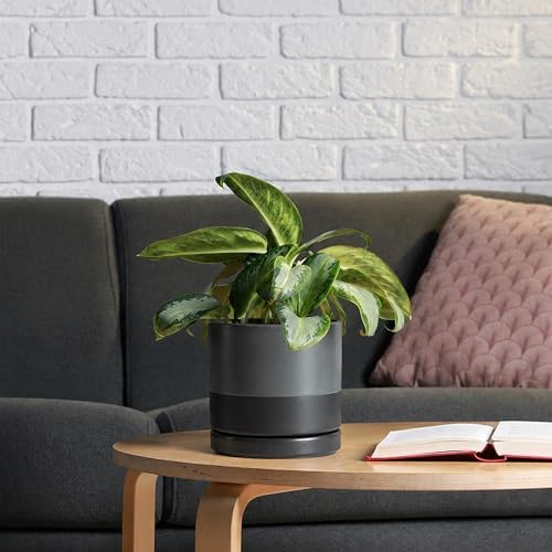 D'vine Dev 6.5 Inch Ceramic Planter Pot, Slate, 94-O-C-5 - Image 6