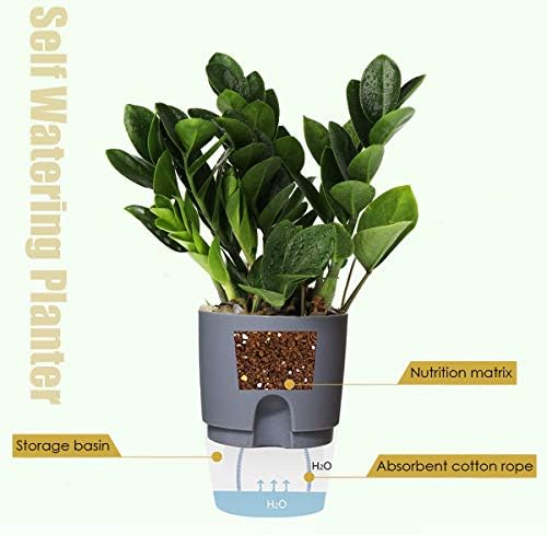 Vanavazon 6 Inch Self Watering Pots for Indoor Plants African Violet Pots - Image 3