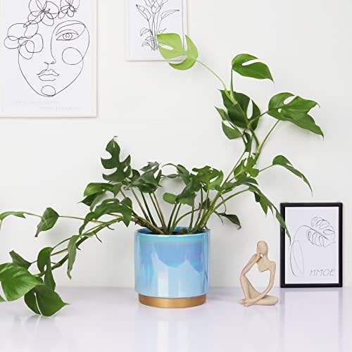 Gepege Ceramic Pots for Plants, Rainbow Pearl Glaze Planter with Drainage Hole, 6.0 inch+5.0 Inch+4.0 Inch. Indoor-Outdoor Large Round Succulent Orchid Flower Pot - Image 7