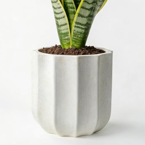 12 Inch Pots for Plants, Large Ceramic Planter with Drainage Hole by AvyraVelen